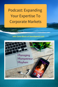 Expanding your expertise to corporate markets | Podcast | SaneSpaces.com