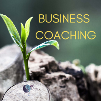 Biz ADHD Professional Coaching (6 month/18 total) Full
